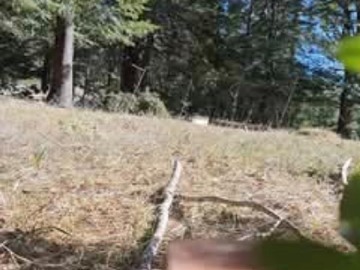Parcela en venta en Termas del Huife, Pucón