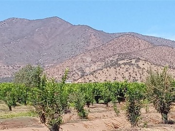 Venta / Terreno / Curacaví