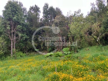 Parcela en venta en Sector La Vega Nueva Braunau, Puerto Varas