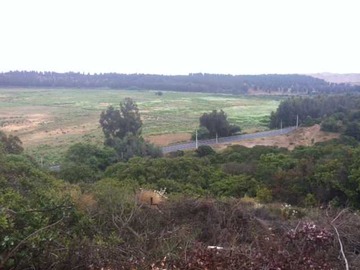 Terreno en venta en lado Sur 250 Mts Norte del estero Santa Juli (73495), Concón