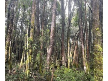 Terreno en venta en Huaillihuape, La Unión
