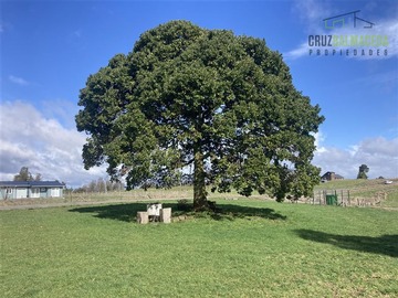 Parcela en venta en Loncotoro Livin, Llanquihue