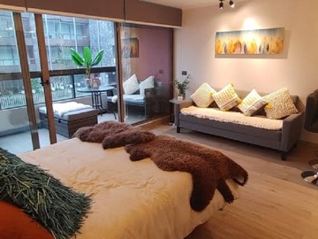 Departamento en arriendo mensual en Camino Internacional Centro Pucón, Pucón - 1 dormitorio, 1 baño