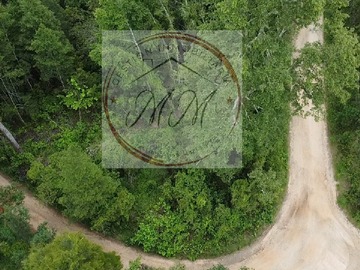 Parcela en venta en Pichihuape Tres Esteros, Valdivia