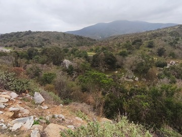 Terreno en venta en Longotoma, La Ligua