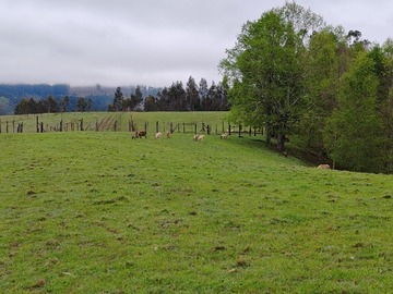 Parcela en venta en A 7 minutos de gorbea., Gorbea