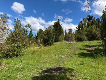 Terreno en venta en Parcela 5.000 camino Ralun (29598), Puerto Varas