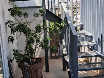 Departamento en venta en Departamento con azotea privada (115605), Providencia - 2 dormitorios, 3 baños
