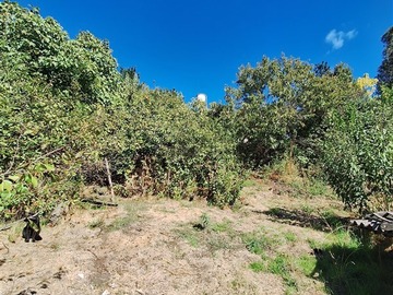 Parcela en venta en El pino,laja, Laja - 2 dormitorios, 1 baño