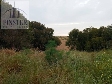 Venta / Terreno / Quintero