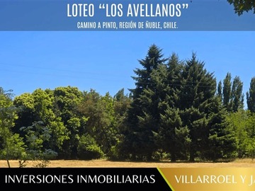 Parcela en venta en Venta de parcela camino a pinto, Chillán