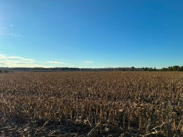 Terreno Agricola en venta en Ideal cultivos frutales, excelente para Avellano (174199), Mulchén