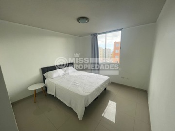 Imagen 6