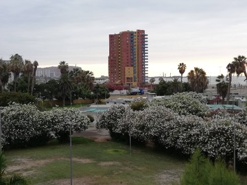 Imagen 8