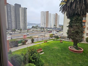 Imagen 7