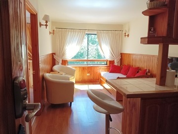 Arriendo Diario / Departamento / Pucón