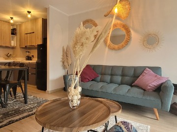 Arriendo Diario / Departamento / Pucón