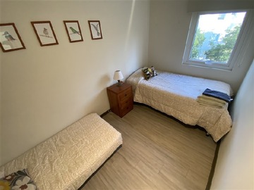 Imagen 12
