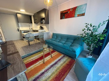 Arriendo Diario / Departamento / Santiago