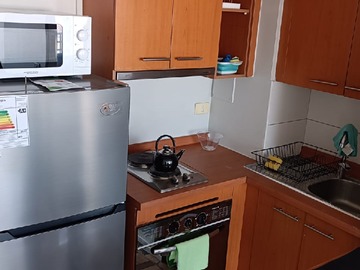 Arriendo Diario / Departamento / Santiago
