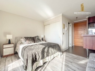 Arriendo Diario / Departamento / Viña del Mar