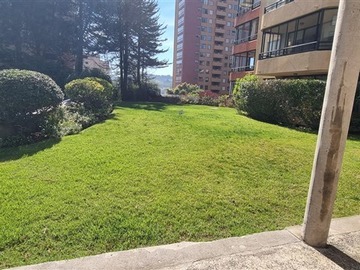 Imagen 18