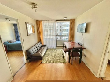 Arriendo Diario / Departamento / Viña del Mar