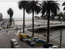 Imagen 12