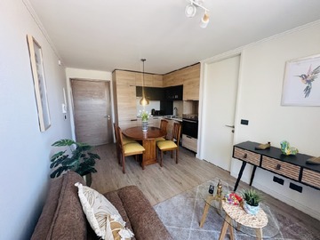 Arriendo Diario / Departamento / Viña del Mar