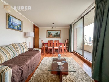 Arriendo Diario / Departamento / Viña del Mar