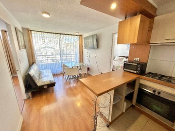 Arriendo Diario / Departamento / Viña del Mar
