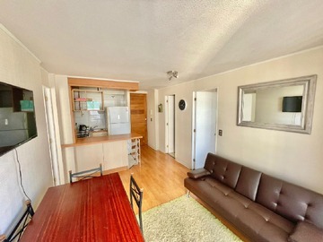 Arriendo Diario / Departamento / Viña del Mar
