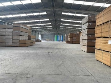 Imagen 5
