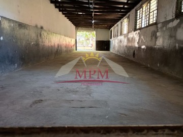 Imagen 4
