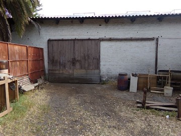 Imagen 7