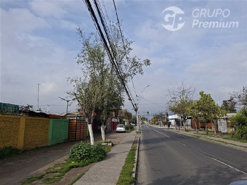 Imagen 11