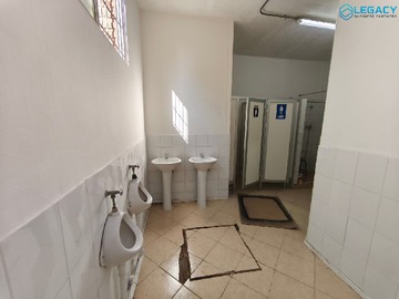 Imagen 16
