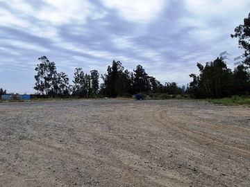 Imagen 5