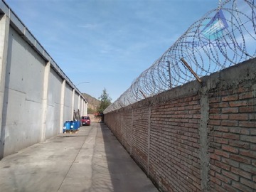 Imagen 12