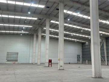Imagen 4