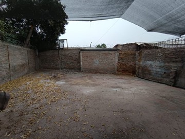 Imagen 19
