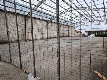 Imagen 4