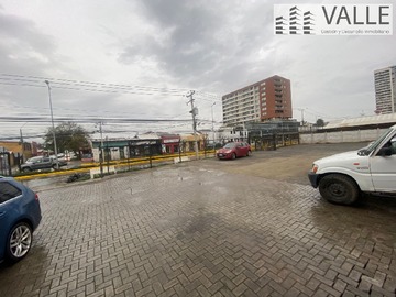 Imagen 11