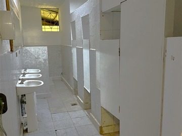 Imagen 13