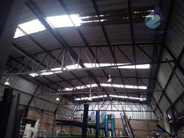 Imagen 6