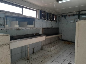 Imagen 8