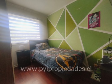 Imagen 19