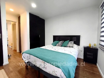 Imagen 11