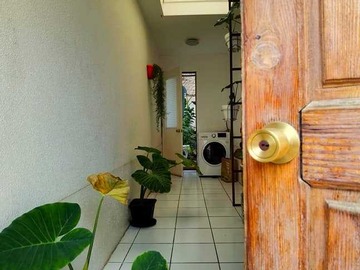 Imagen 13