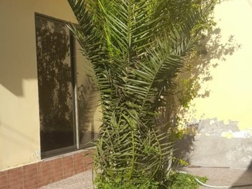 Imagen 25